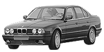 BMW E34 P050D Fault Code